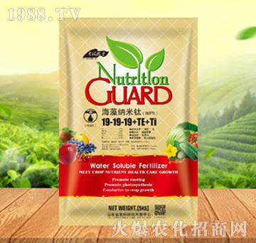 ����{����19-19-19+TE+Ti������-���ԁ��