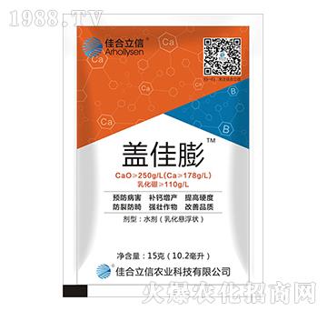 �w����-�Ѻ�����