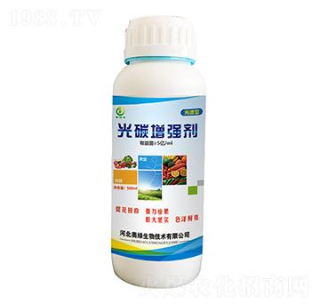 �V�V�͹�̼����(qi��ng)��-�W�G����