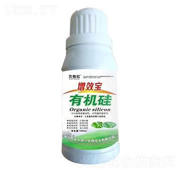 ��Ч���ЙC(j��)��-�f�ڼt-���{�d