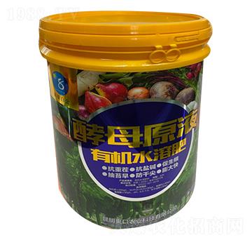 �ЙC(j��)ˮ�ܷ���-��ĸԭҺ