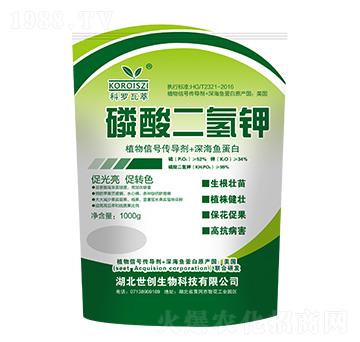 1000g��������-���_����-����(chu��ng)����