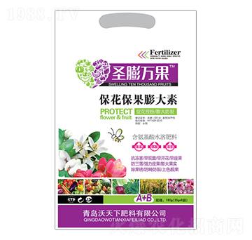 �������������-ʥ���f(w��n)��-������