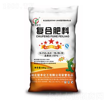 �ͺϷ�19-19-19-���S����