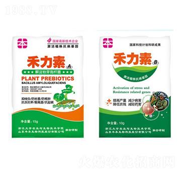 �߲˹���־��x����-�S