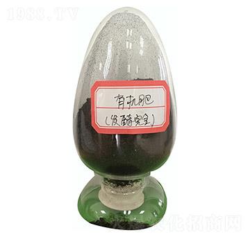 �ЙC(j��)��-��ꖿƼ�