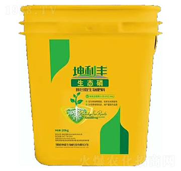 ���B(t��i)�׏�(f��)��΢�������-�����S-��ʢ����