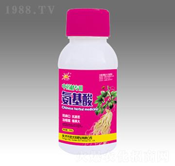 ��ˎ�Č��ð�����-�������