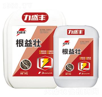 �����-����