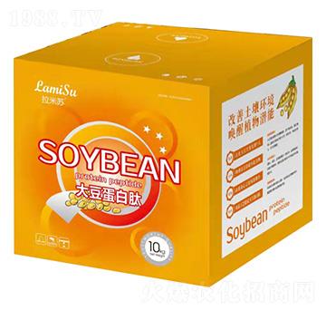 �󶹵�����-�����K-�Ơ���˹