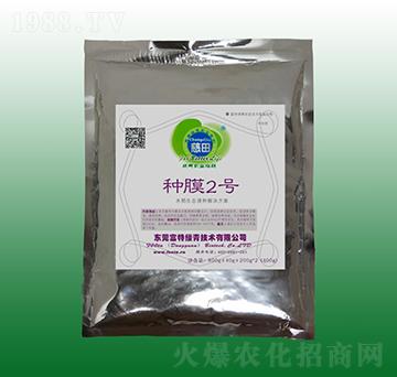 �NĤ2̖��������N����-��������