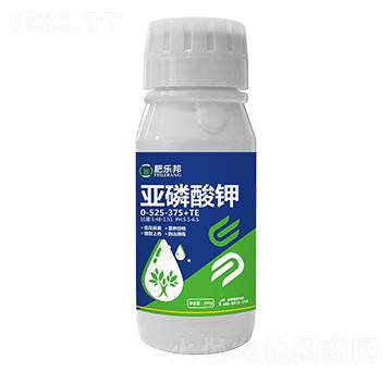 �������0-525-375+TE-�ʘ���-�׶���