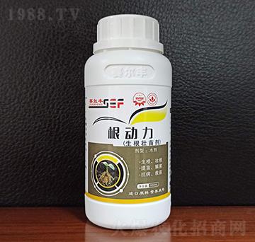 �������焩-����(d��ng)��-ِ���S