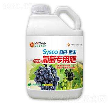 ʢ���\(y��n)�S���ь��÷�-ʢ������