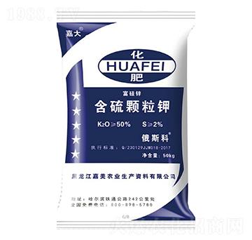 �����w���-�δ�-����