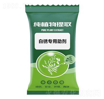 ���P��(zhu��n)������-ǧ���