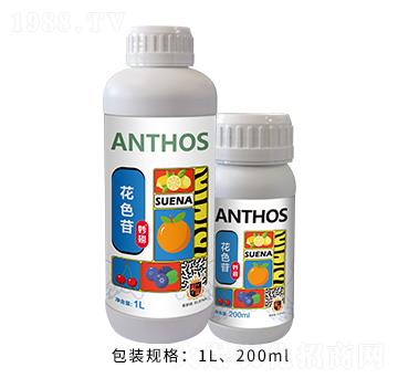 ��ɫ��-���