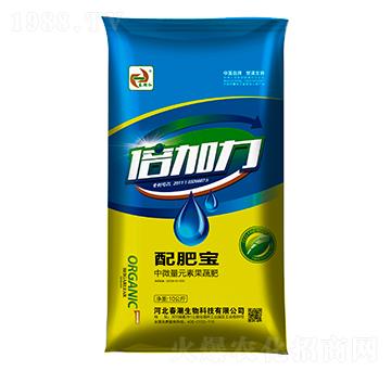 ��������ʌ�-�����t