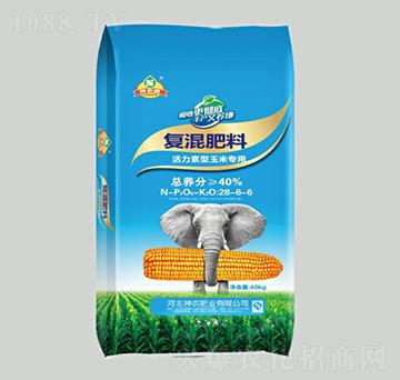 �����������׌�(zhu��n)�Ï�(f��)�����28-6-6-���r(n��ng)��-���r(n��ng)�ʘI(y��)