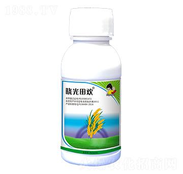 35%���ݰ�-�Թ���g-ӯ�x