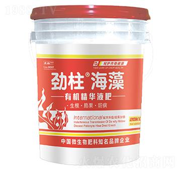 �ЙC(j��)���AҺ��-����������-형r�