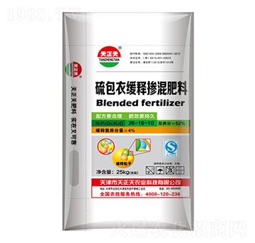 ����¾�ጓ������26