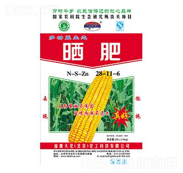 ���28-11-6-��