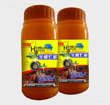 ���������~���-�ޏ�(f��)-