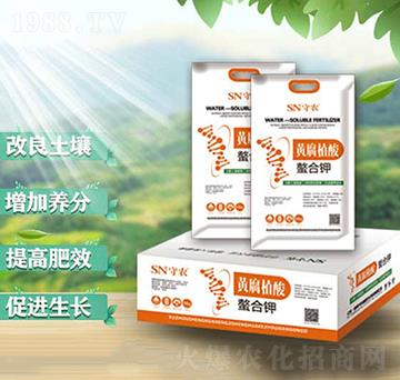 �S��ֲ�������-���r