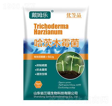 ����ľù��-��ķ��(l��)-��������