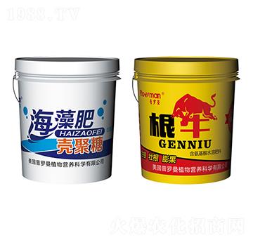 ����ʚ�����+��ţ-��