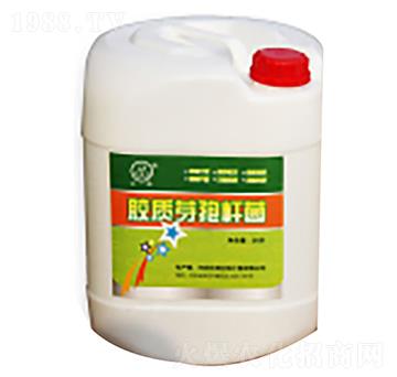 �z�|ѿ�ߗU��Һ-��΢����