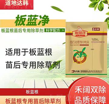 ���{�����݄�-���{�����-���{������-���{��-���n