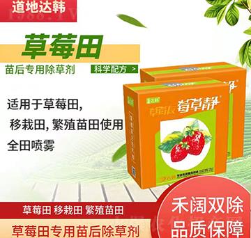 ��ݮ���݄�-��ݮ���-��ݮ��(zhu��n)��-���n