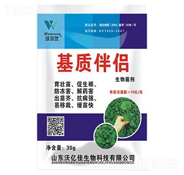 ���|��H-�֠���(y��u)