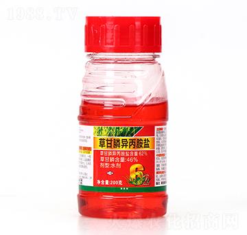 62%�ݸ�좮������}-