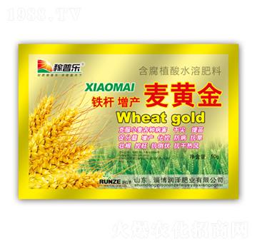 �F�U���a(ch��n)���S��-��(r��n)�ɷʘI(y��)