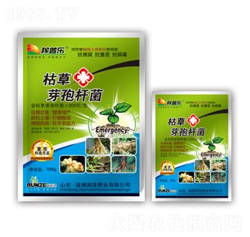 �ݲ�ѿ�ߗU��-���՘�-��(r��n)�ɷʘI(y��)