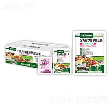 �����������������-̩