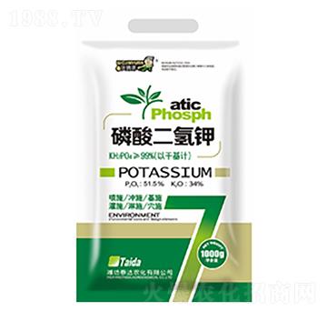 �������⛣�1000g��-̩�_(d��)�r(n��ng)��