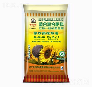 �������ÏͺϷ���13-