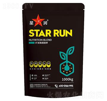 �VԴ�S�����-�ǝ�����