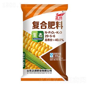 �ͺϷ���29-5-6-