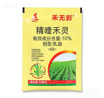 10%��୺��`-�̟oӰ