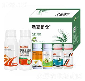 ���ļZ�}(c��ng)��ʮ���أ�-�S�՘�(l��)