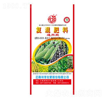 ������͏ͻ����11-8-6-���S