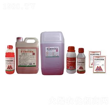 41%�ݸ�좮����@�}-�����_�t-����ꖹ�