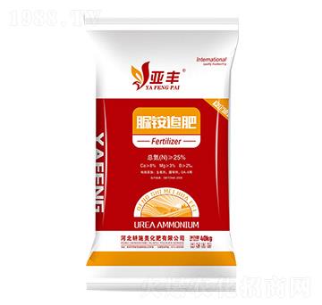 ���@׷��-���S-��ʩ��