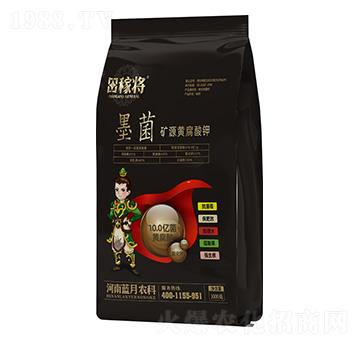 �VԴ�S�����-ī��-��ڌ�-�{���r(n��ng)��