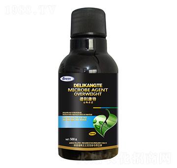 �׷ی��������-��������-������ķ